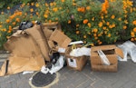 Packaging All pictured - plastic, cardboard, cables, wooden pallet RG2 - removed for £67