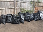 13 black bags of garden waste 13 black bags of green garden waste placed outside front of property N4 - removed for £99