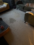 A big rug A large rug. Needs to be removed from underneath a sofa leg, rolled up and taken out my front door. Very easy. SW9 - removed for £43