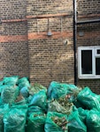 garden waste leaves, weeds, grass and dead plants SE18 - removed for £156
