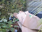 Solar waste Packaging Cardboard, plastic, cables, wooden pallet - all pictured ME13 - removed for £107