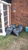 6 BAGS OF EXPANDING FOAM collected by Florin Vacaru