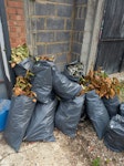 bin bags and polystyrene builders waste and large polystyrene things E17 - removed for £117