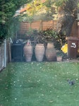 It’s garden waste, twigs leave Garden waste. All the branches, leaves and twigs from a tree being cut down. SW20 - removed for £130