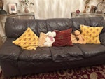 3 seater sofa It is a leather sofa - 3 seater - size 212 cm x 90 cm HP6 - removed for £117