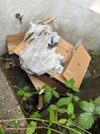 Solar install waste Wooden pellet, boxes and other solar installation waste SE24 - removed for £63