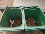 1ton bag and 2 green bins 1 ton bag (in the garden) and 2  half green bins (already outside) NW10 - removed for £71