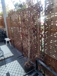 2 dead plants 2 dead plants TW9 - removed for £57