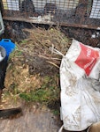 garden waste W1 - removed for £125