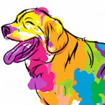 ddos 7 BN1 - removed for £25