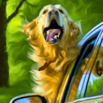 ddos 8 BN1 - removed for £25