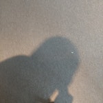 twilio off test milena test N15 - removed for £50