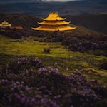 test d SW19 - removed for £0