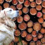 International call test International calling SW15 - removed for £897