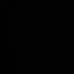 Ellen, I’ll pay you, I promise duckling SW15 - removed for £100