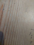 table and rug got some lovely carpets and chairs to get rid of hello hello hello
lovely lovely lovely waste hello waste waste waste
information for the collector here
easy access to wastw SW15 - removed for £306